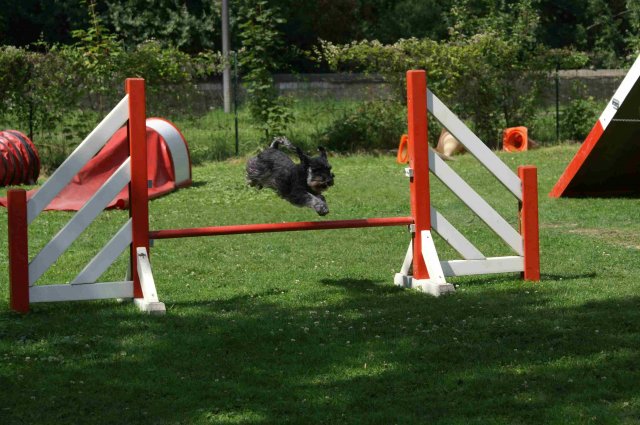 agility 2011-07-24